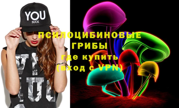 дмт Абаза