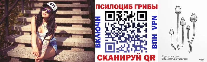 Галлюциногенные грибы Psilocybe  Емва 